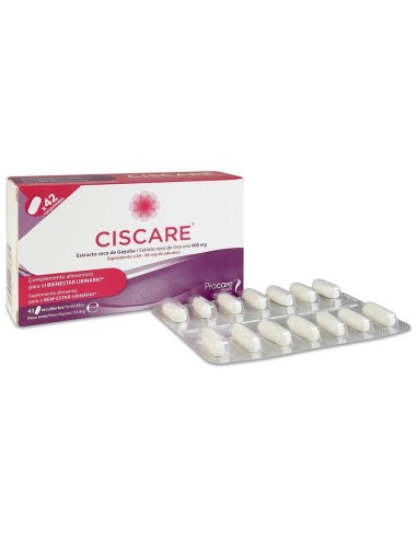 Procare Health Ciscare Extracto De Gayuba 42Comp
